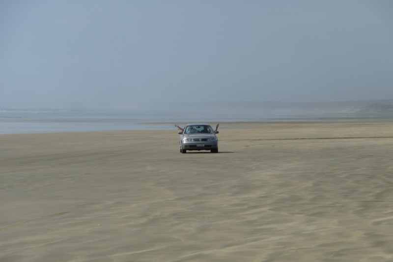 Nieuw-Zeeland 2011 - 0402